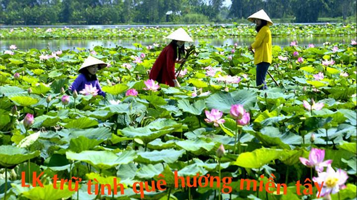4 kiểu áo sơ mi dìm dáng, xỉn - Cảm hứng video marketing từ Hotspot Matrix
