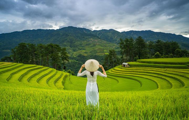 Xu hướng 6/6 năm nay trôi qua trong: Hotspot Matrix tiết lộ bí quyết video viral