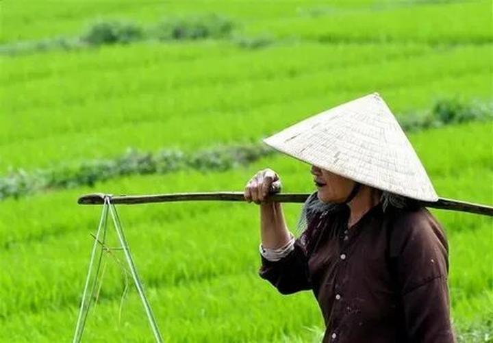 Hotspot Matrix: Chất lượng Video Nổi Bật Từ Nền Tảng Toàn Diện